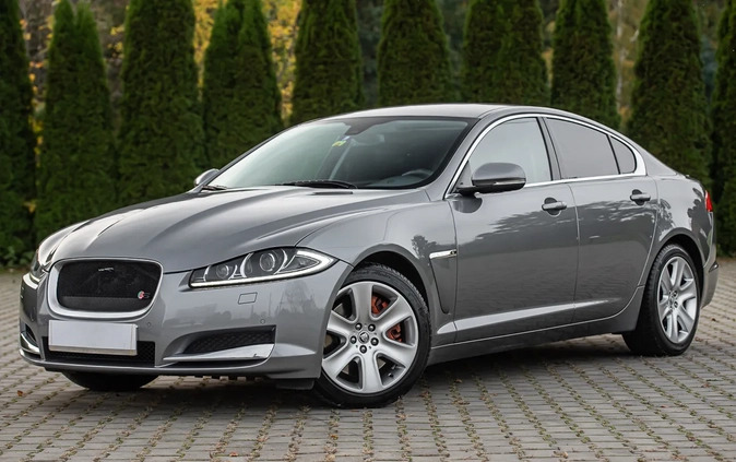 Jaguar XF cena 56900 przebieg: 177123, rok produkcji 2013 z Żmigród małe 436